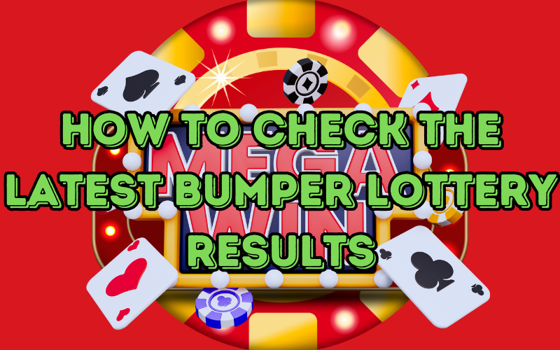 How to Check the Latest Bumper Lottery Results